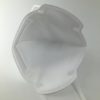 Omnifarious KN95 Protective Masks - Image 3