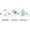 SARS-COV-2 Real-Time RT-PCR Assay - Image 3