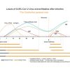 SARS-CoV-2 Antibody Test (Lateral Flow Method) - Image 2